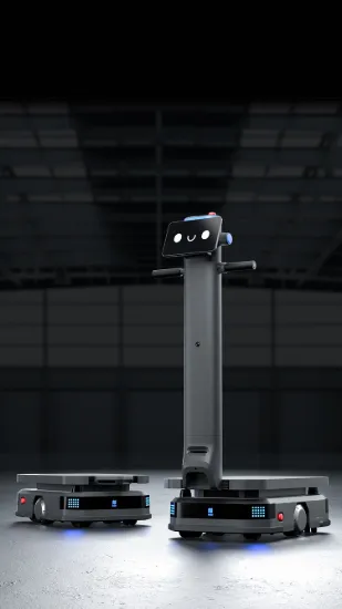 Picture of PUDU T600