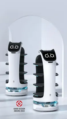 Picture of BellaBot