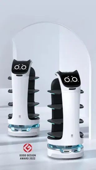 Picture of BellaBot